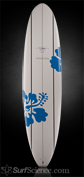 Surftech Yater - Fun Board